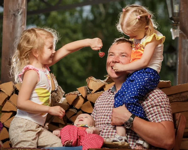 Získal lahodné jahodo — Stock fotografie