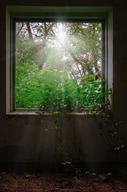 harap bir ev penceresinden görüntülemek