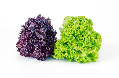 yeşil ve kırmızı marul