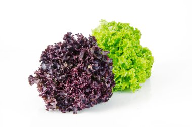 yeşil ve kırmızı marul