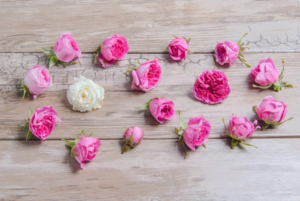 Boutons roses sur une table en bois — Photo