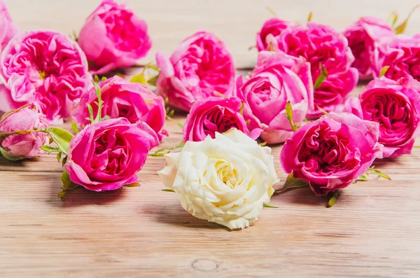 Boutons roses sur une table en bois — Photo