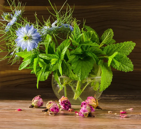 Rose buds and mint — Stock Photo, Image