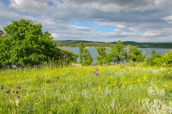 Paisaje de verano y cielo — Foto de Stock