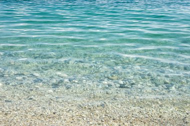 çakıl taşları ve deniz yosunu