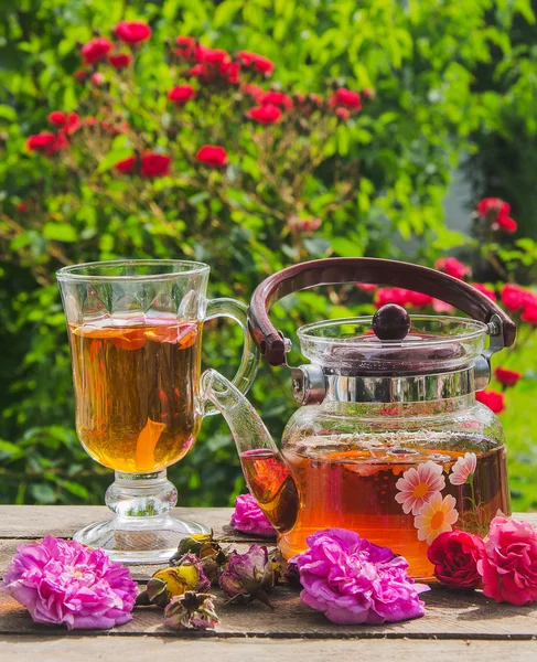 Te och rose — Stockfoto