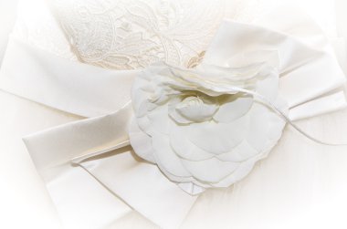 Gelinlik beyaz arka planda