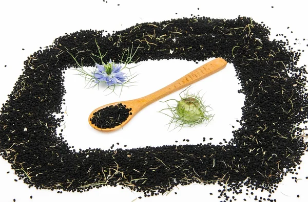 Frame of black cumin — Stock Photo, Image