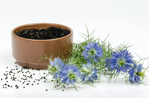 Frame of black cumin — Stock Photo, Image