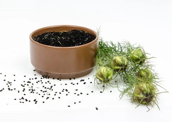 Bowl of black cumin — Stock Photo, Image