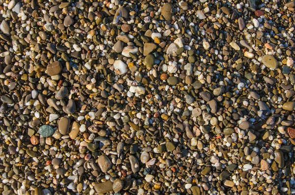 Keien in ochtend — Stockfoto