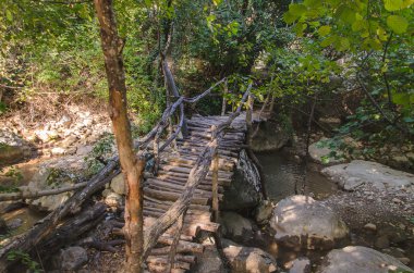 bir dağ orman Nehri üzerinde köprü