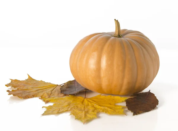 Hoja de otoño con calabaza — Foto de Stock