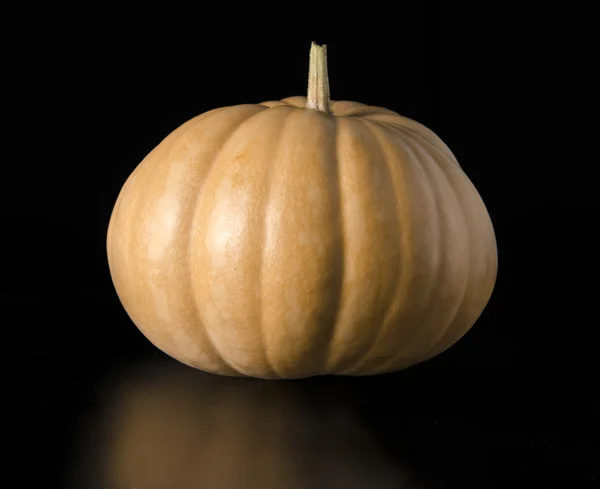 Calabaza de otoño — Foto de Stock