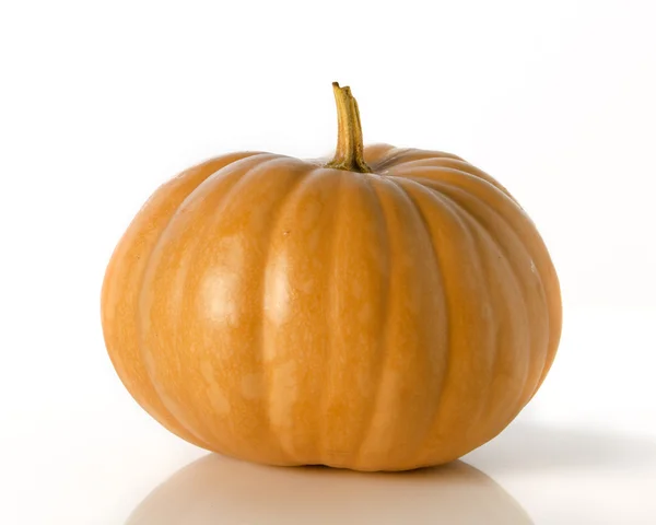 Ripe pumpkins Stock Picture