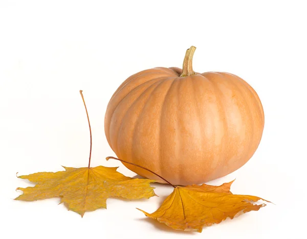 Calabaza con hojas de otoño — Foto de Stock