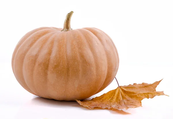 Calabaza con hojas de otoño — Foto de Stock