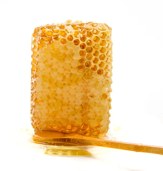 Peine de abeja — Foto de Stock