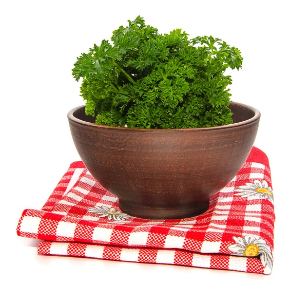 Bunch of parsley in ceramic bowl — Stock Photo, Image