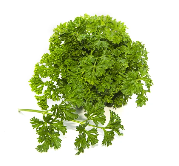 Bunch of parsley — Stock Photo, Image