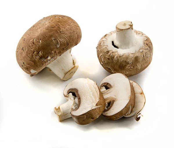 Mushrooms — Stock Photo, Image