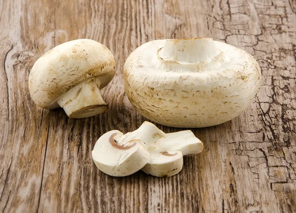 Mushrooms — Stock Photo, Image