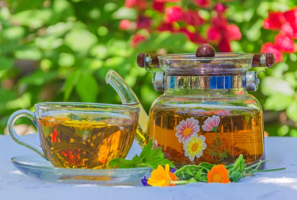 Té de hierbas en tetera y taza —  Fotos de Stock