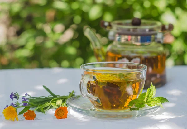 Té de hierbas en tetera y taza —  Fotos de Stock