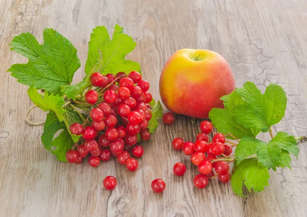 Bayas viburnum y manzana — Foto de Stock