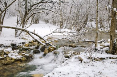 Nehir kış ormanında