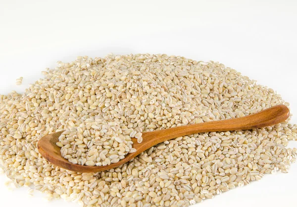 Pearl barley and spoon — Stock Photo, Image