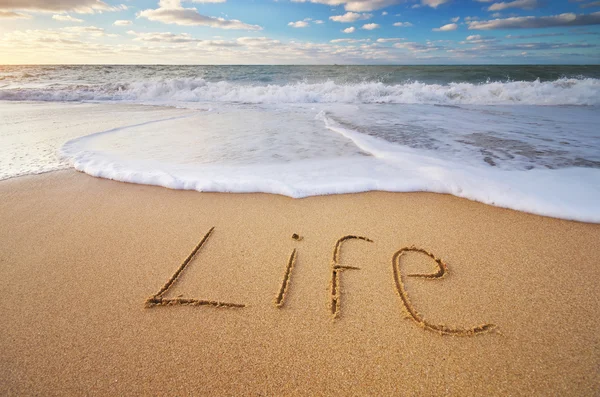 Leben Wort auf dem Meer — Stockfoto