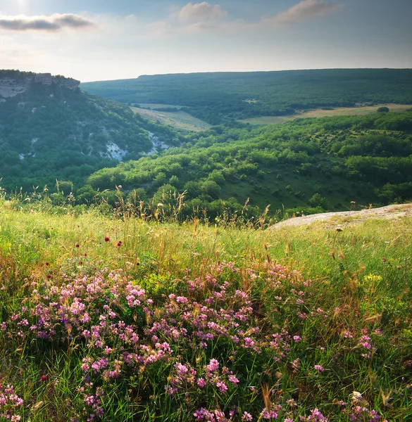 Natuur berglandschap. — Stockfoto