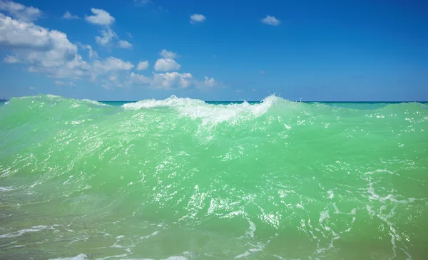 Vânt val de mare — Fotografie, imagine de stoc