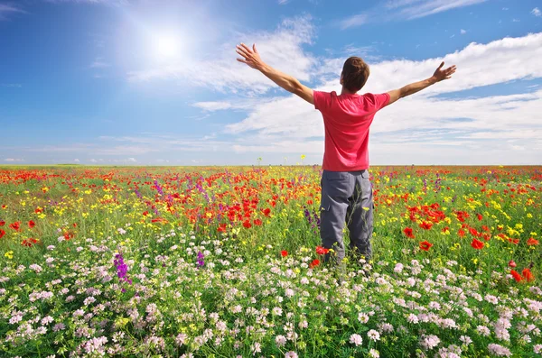 Man in spring meadow — Stock Photo, Image