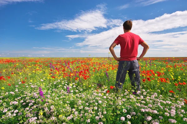 L'uomo in primavera prato di fiori . — Foto Stock