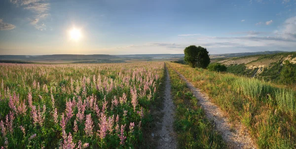 Vägen lane i berg. — Stockfoto