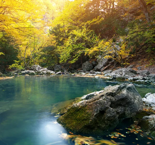 Podzimní příroda jezero — Stock fotografie