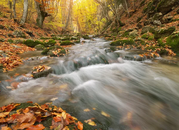 Autumn nature landscape — Stock Photo, Image