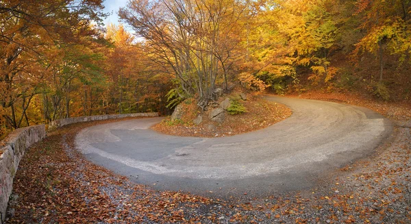 Straßenpanorama in der herbstlichen Schlucht. — Stockfoto