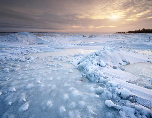 冬の自然の風景. — ストック写真