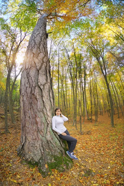 Mujer Joven Gran Árbol Bosque Otoño Naturaleza Escena Viaje — Foto de Stock