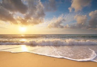 Gün batımında kumsalda. Doğa bileşimi.