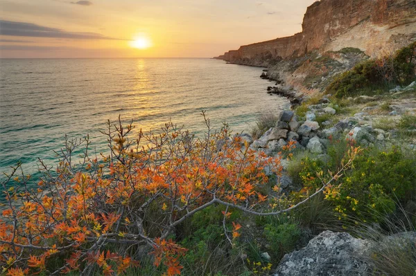 Закат Морских Скалах Прекрасный Весенний Пейзаж Расслабьтесь — стоковое фото