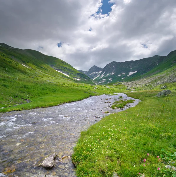 Καθαρό Ποτάμι Στην Κοιλάδα Του Βουνού Σύνθεση Φυσικού Τοπίου — Φωτογραφία Αρχείου