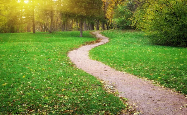 Way in yard — Stock Photo, Image