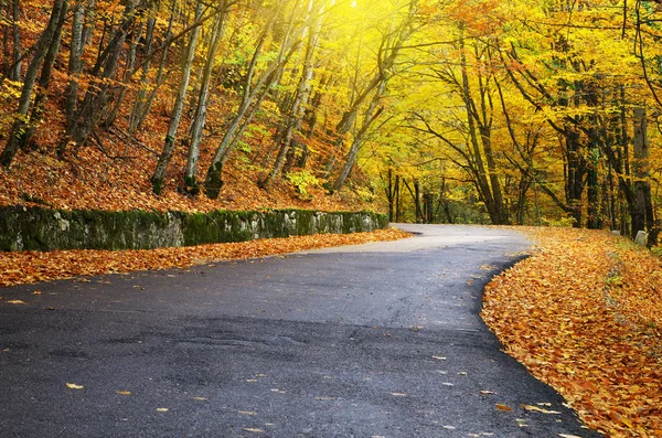 Δρόμος στο φθινόπωρο ξύλο. — Φωτογραφία Αρχείου