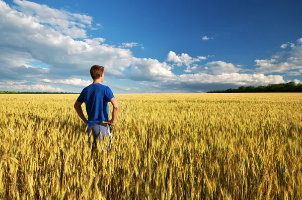 L'uomo nel prato — Foto Stock