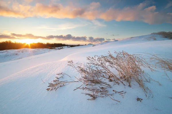 Paysage hivernal — Photo