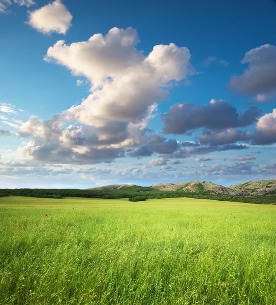 Green meadow in mountain. — Stock Photo, Image